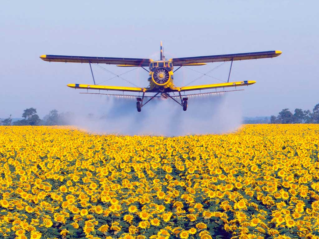 Услуга по распрыскиванию пестицидов легкомоторным самолетом